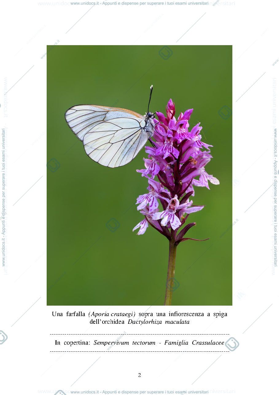 Anteprima pagina 2 — Appunti di botanica