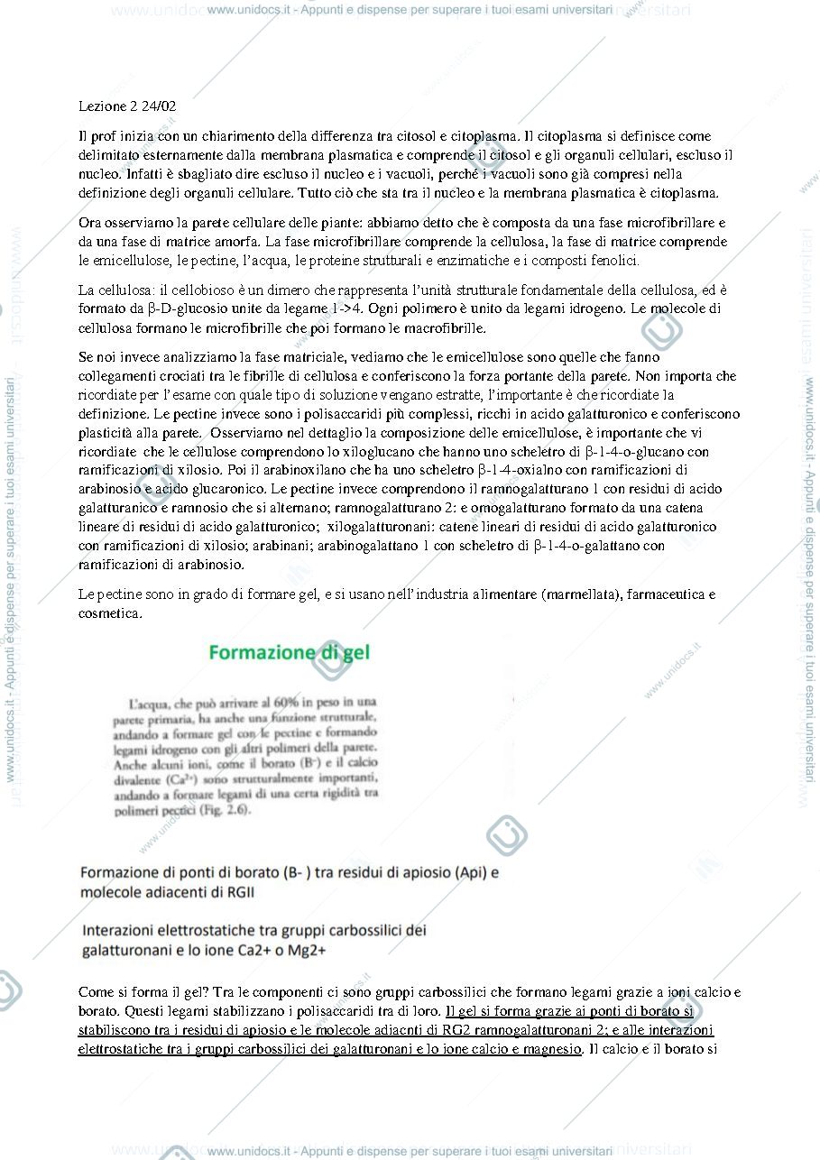 Anteprima pagina 1 — Botanica - Cellula vegetale 2