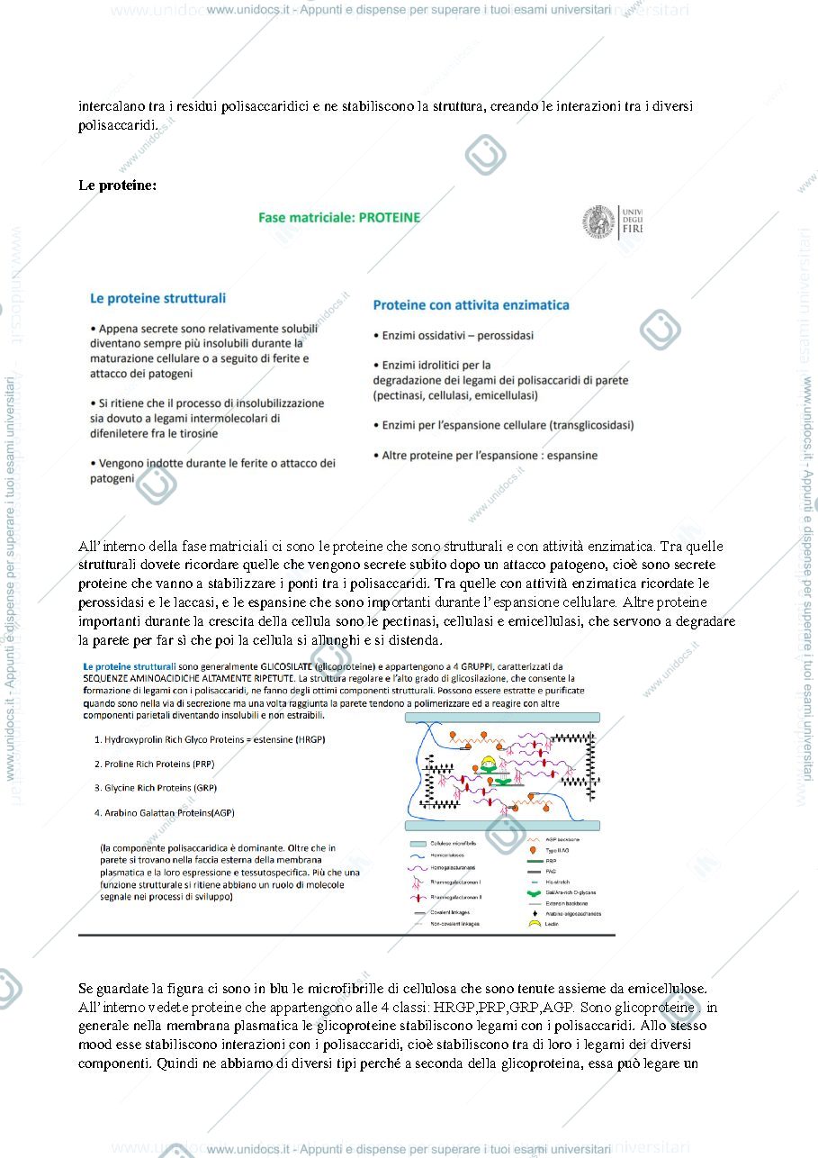 Anteprima pagina 2 — Botanica - Cellula vegetale 2