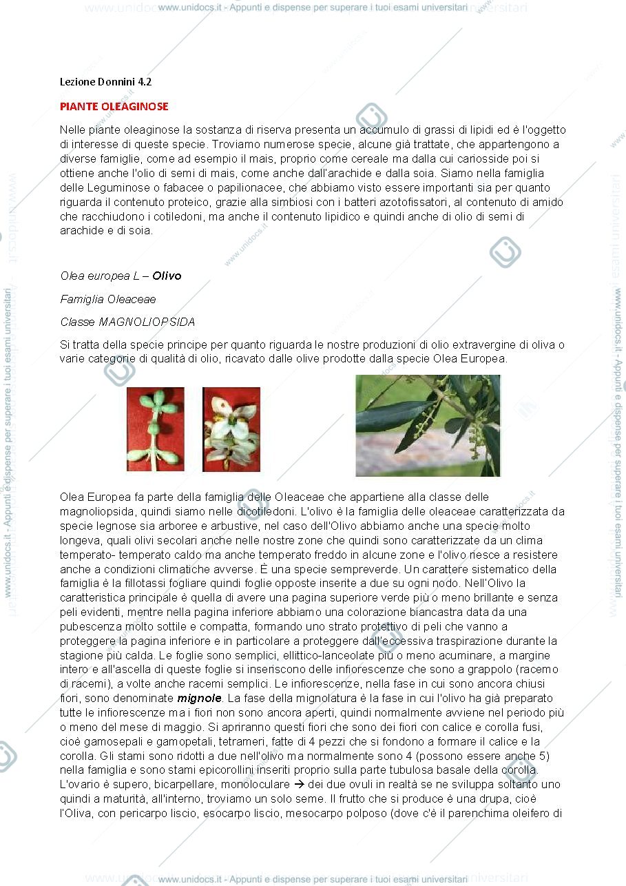 Anteprima pagina 1 — botanica sistematica 4.2