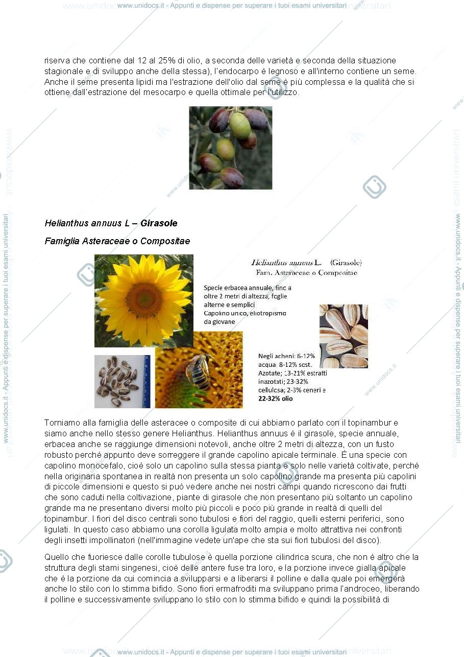 Anteprima pagina 2 — botanica sistematica 4.2