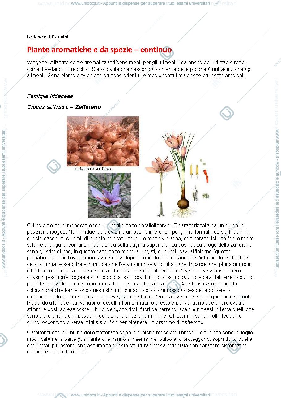 Anteprima pagina 1 — botanica sistematica 6.1