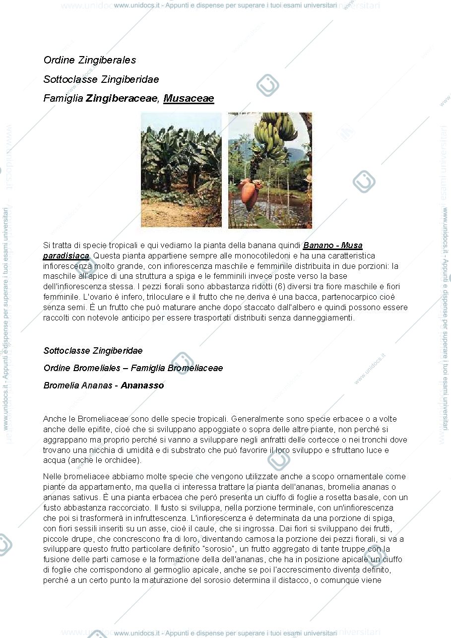 Anteprima pagina 2 — botanica sistematica 6.1