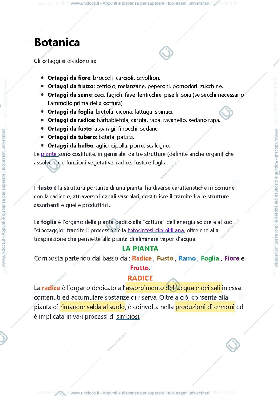 Anteprima pagina 1 — Botanica introduzione