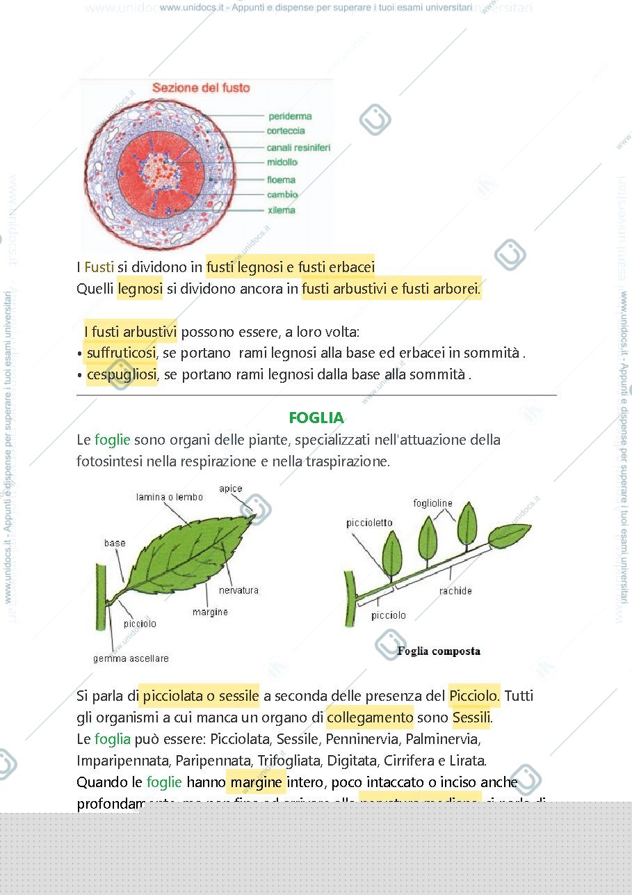 Anteprima pagina 3 — Botanica introduzione