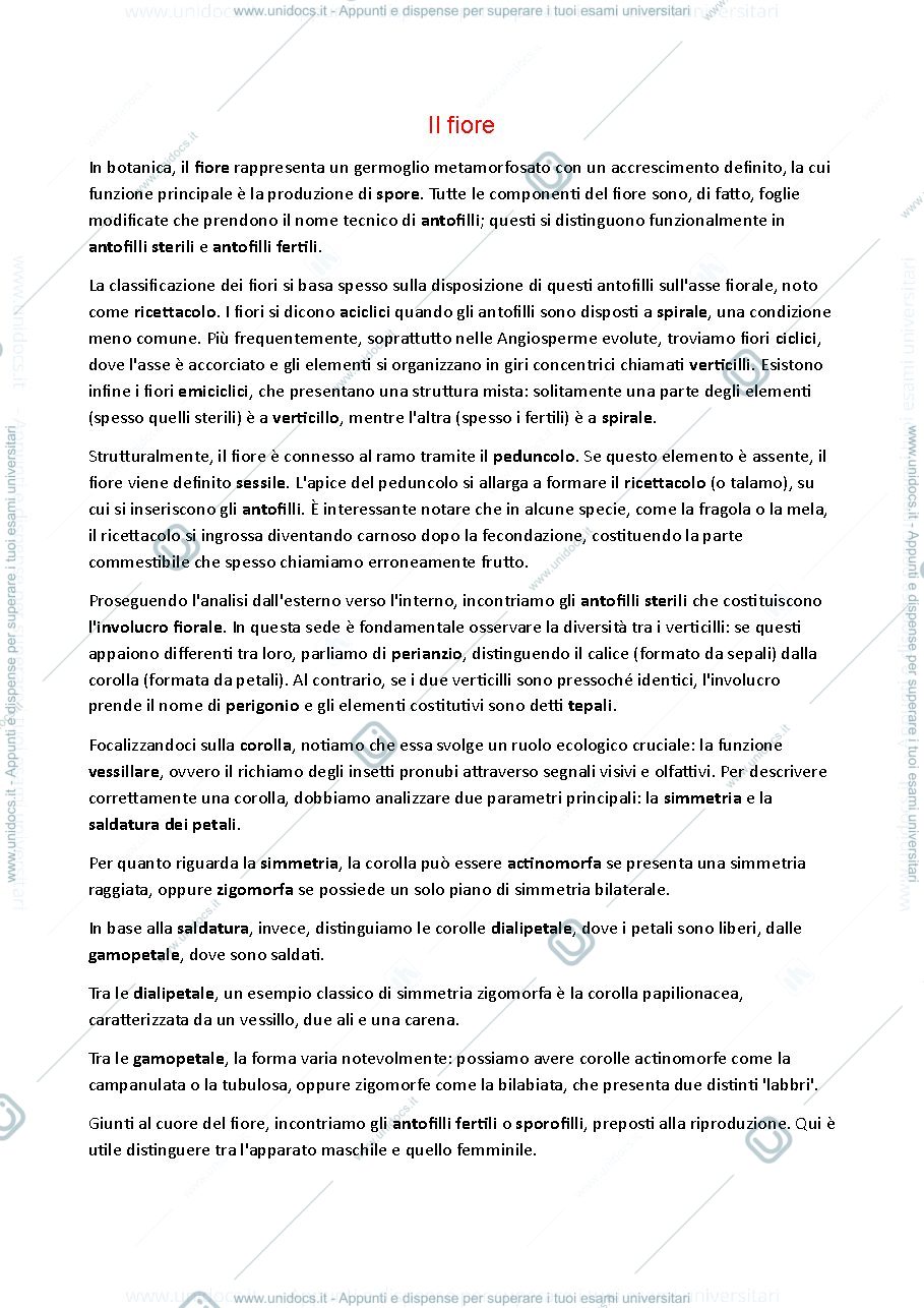 Anteprima pagina 1 — Botanica fiore e frutto con nomenclatura