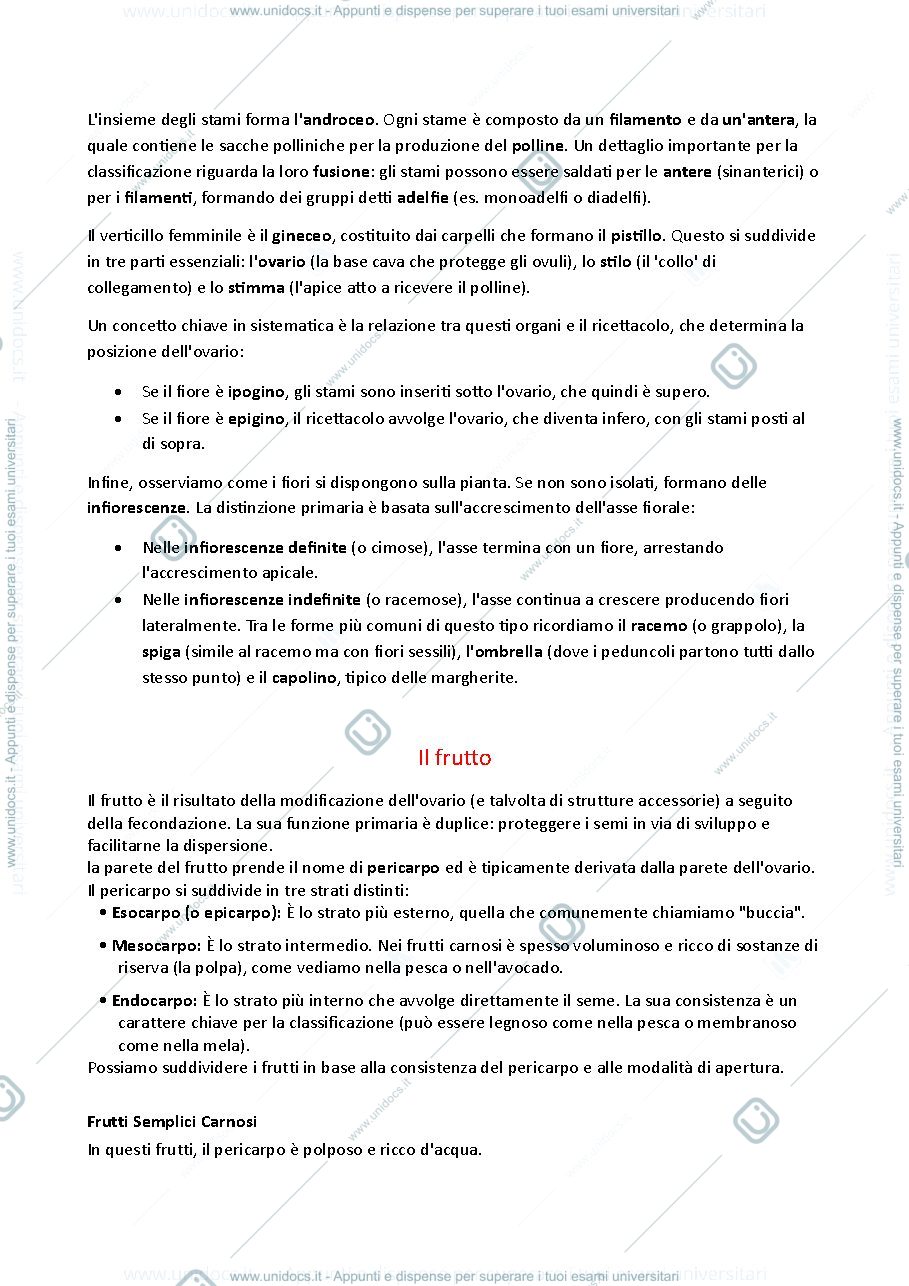 Anteprima pagina 2 — Botanica fiore e frutto con nomenclatura