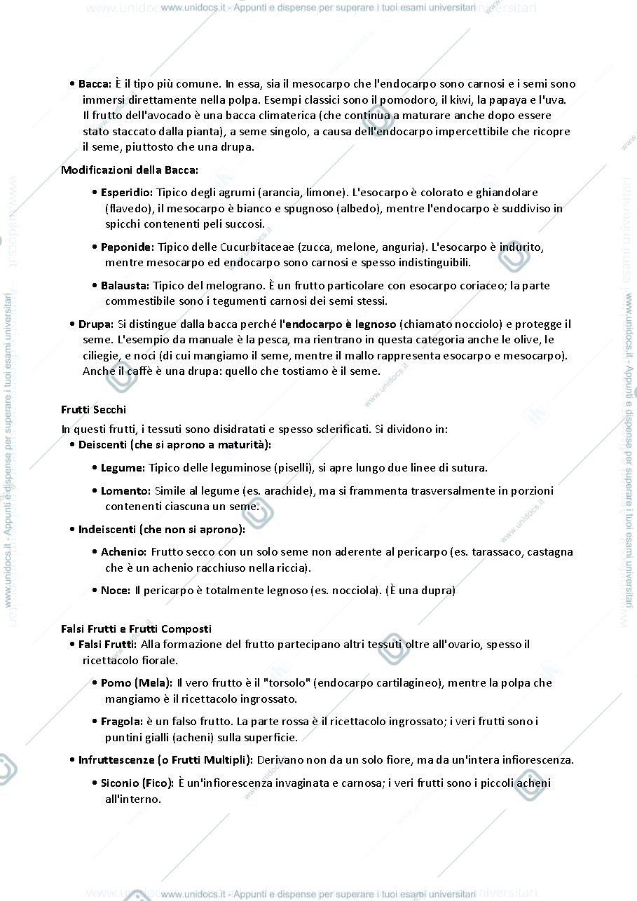 Anteprima pagina 3 — Botanica fiore e frutto con nomenclatura