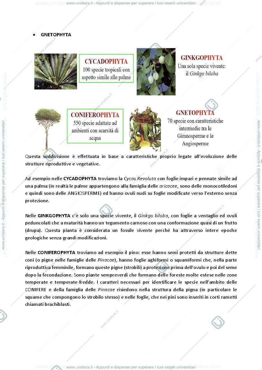 Anteprima pagina 2 — Botanica Sistematica - Donnini