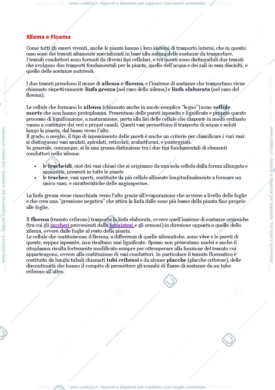 Anteprima pagina 1 — botanica 