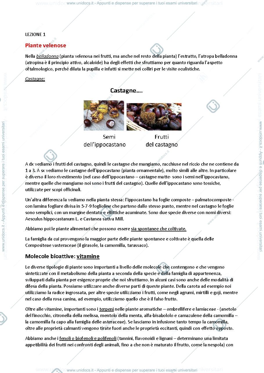 Anteprima pagina 1 — Botanica Sistematica - Donnini - 