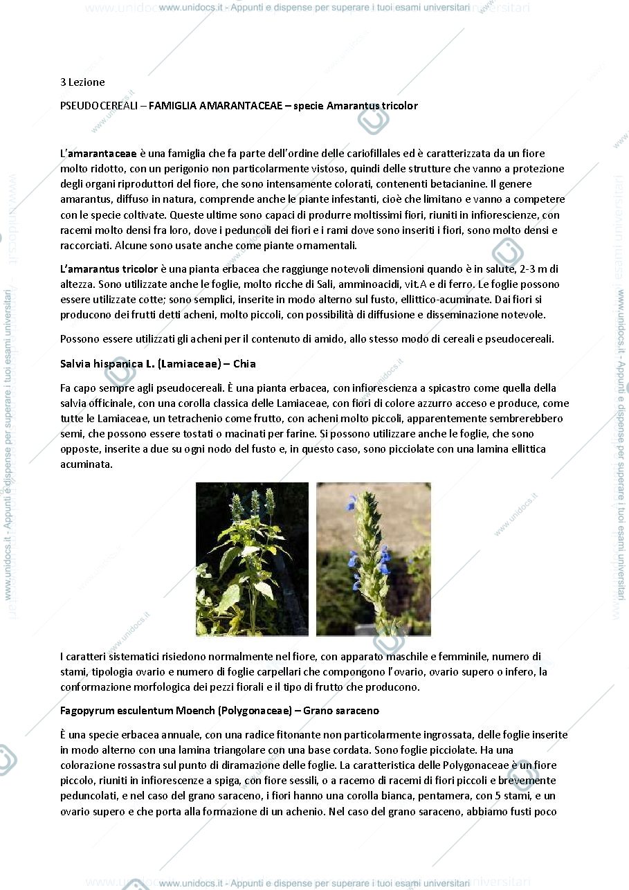 Anteprima pagina 1 — Lezione 3 Botanica Sistematica - Donnini