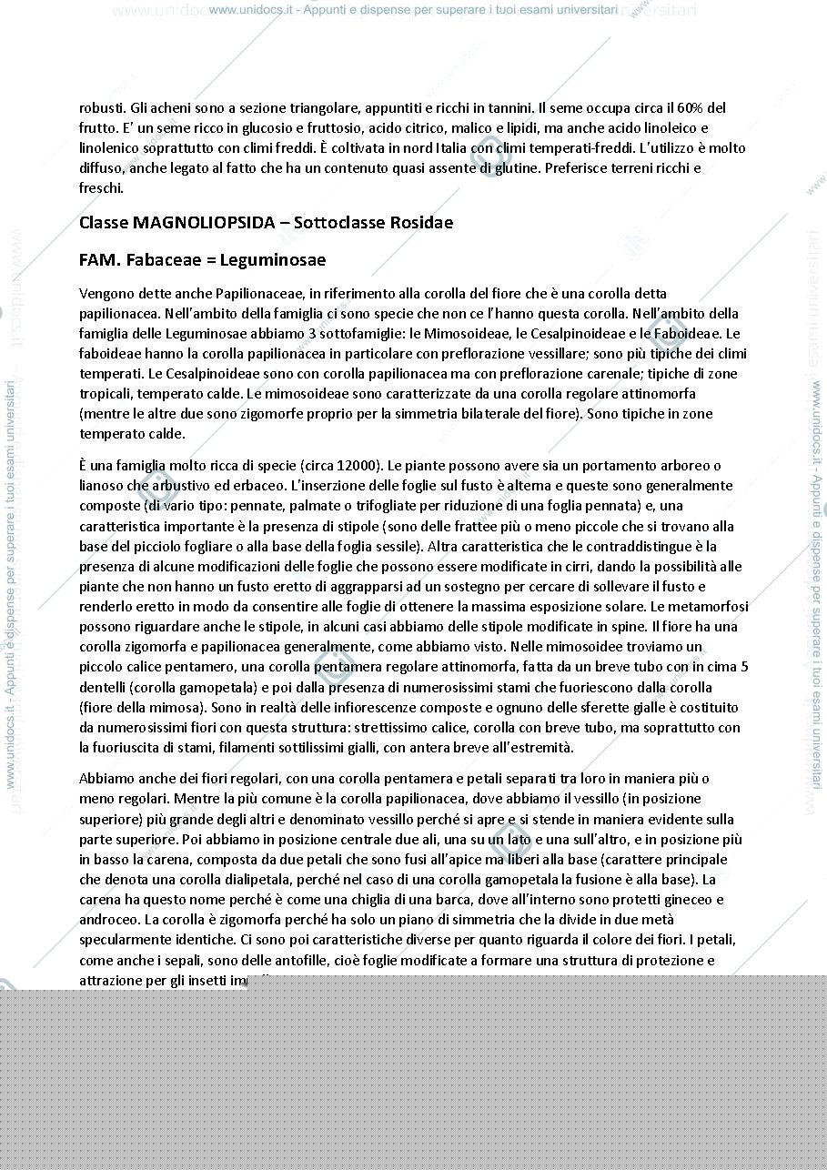 Anteprima pagina 2 — Lezione 3 Botanica Sistematica - Donnini