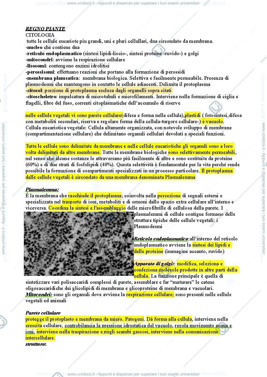 Anteprima pagina 2 — appunti botanica delle piante alimentari