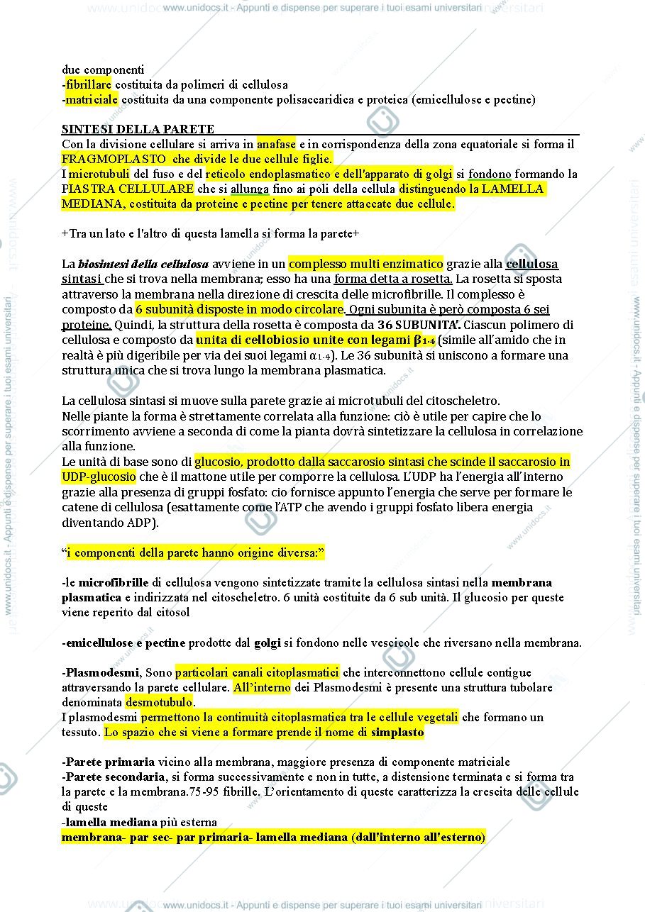 Anteprima pagina 3 — appunti botanica delle piante alimentari