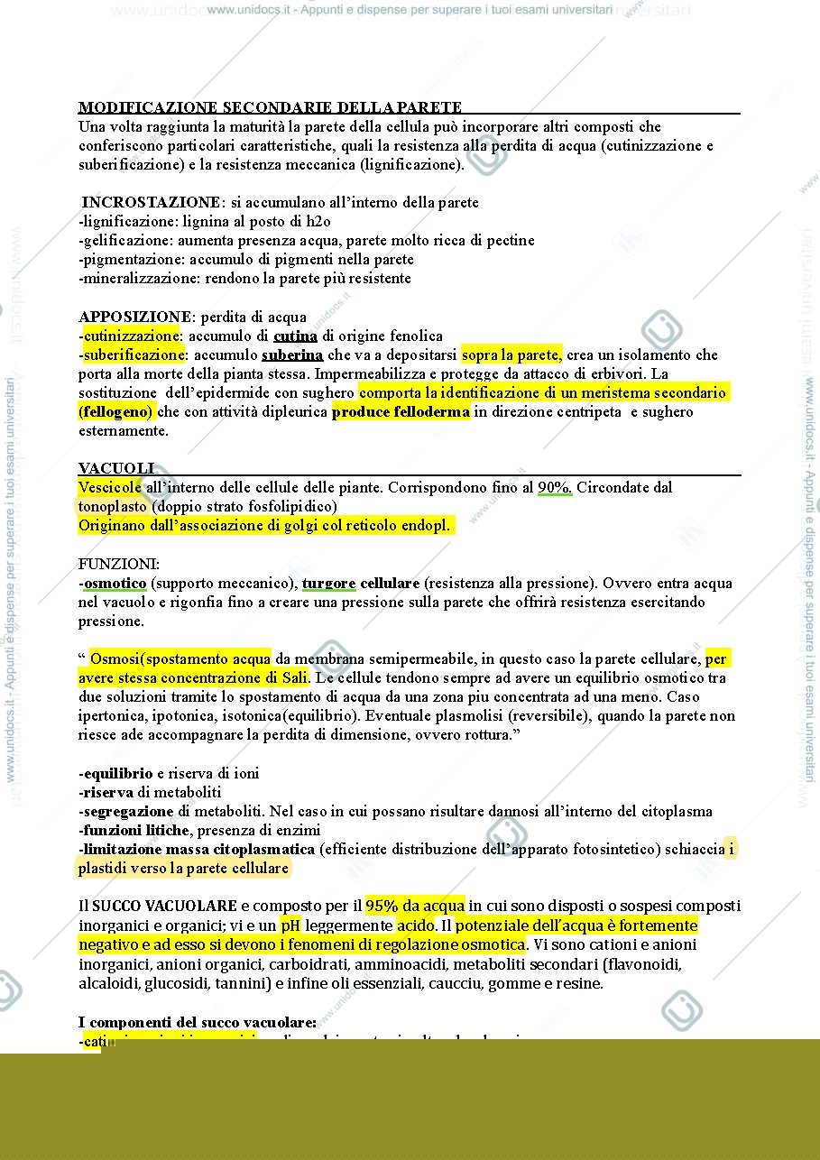 Anteprima pagina 4 — appunti botanica delle piante alimentari