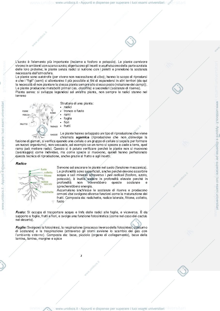 Anteprima pagina 2 — Botanica delle Piante Alimentari