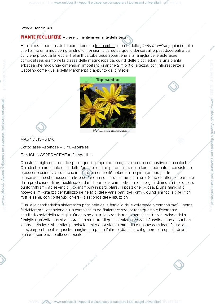 Anteprima pagina 1 — botanica sistematica 4.1