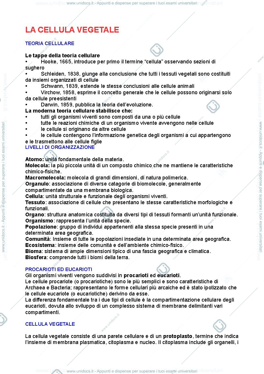 Anteprima pagina 1 — Botanica 