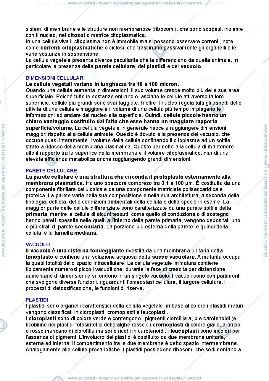 Anteprima pagina 2 — Botanica 