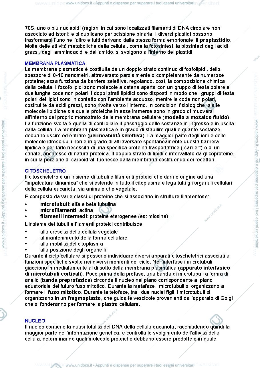 Anteprima pagina 3 — Botanica 