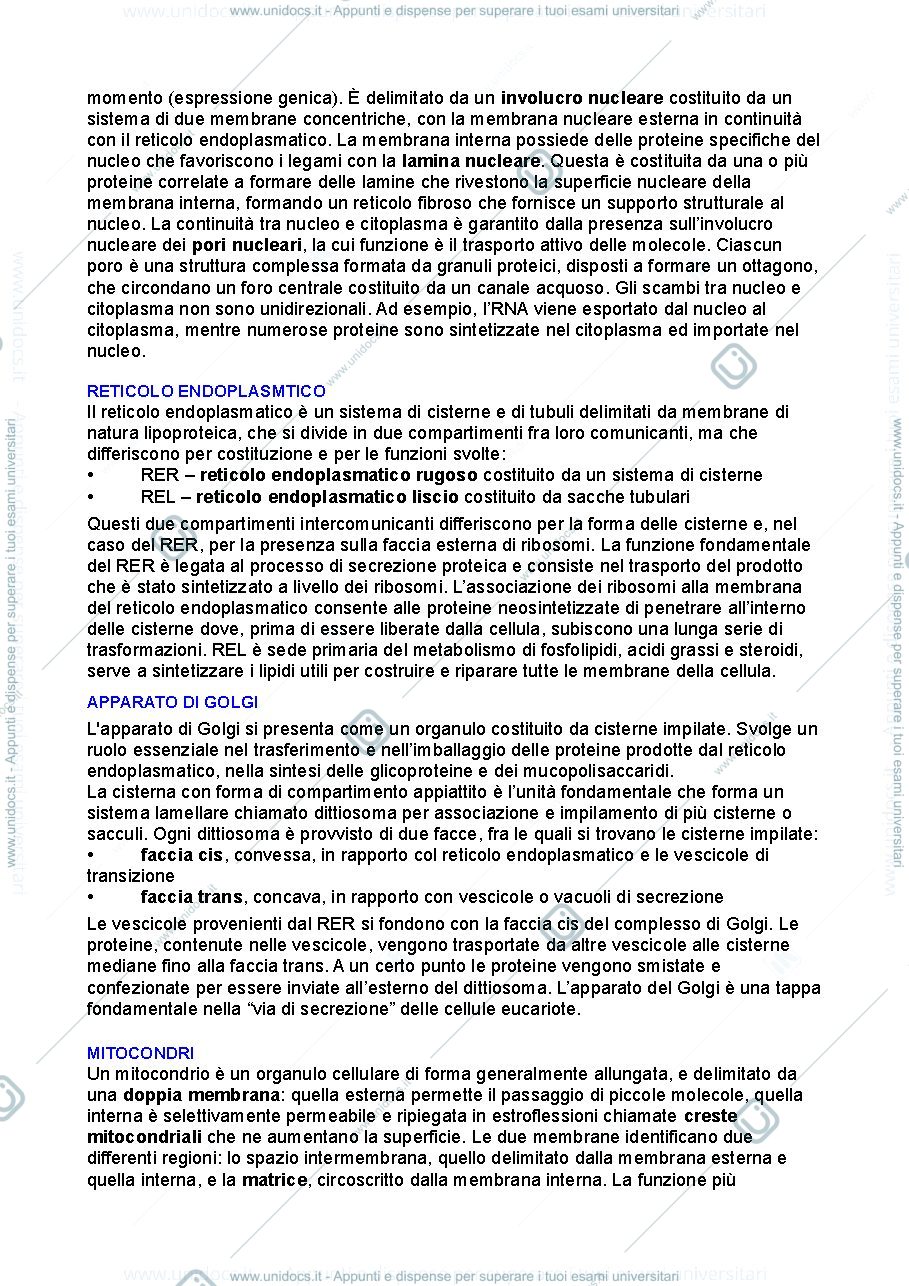 Anteprima pagina 4 — Botanica 