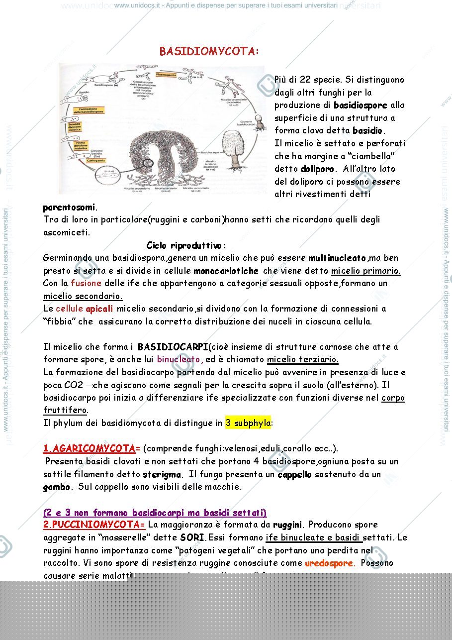 Anteprima pagina 1 — appunti botanica