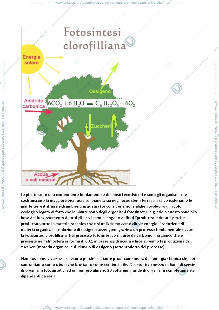 Anteprima pagina 3 — Botanica generale 