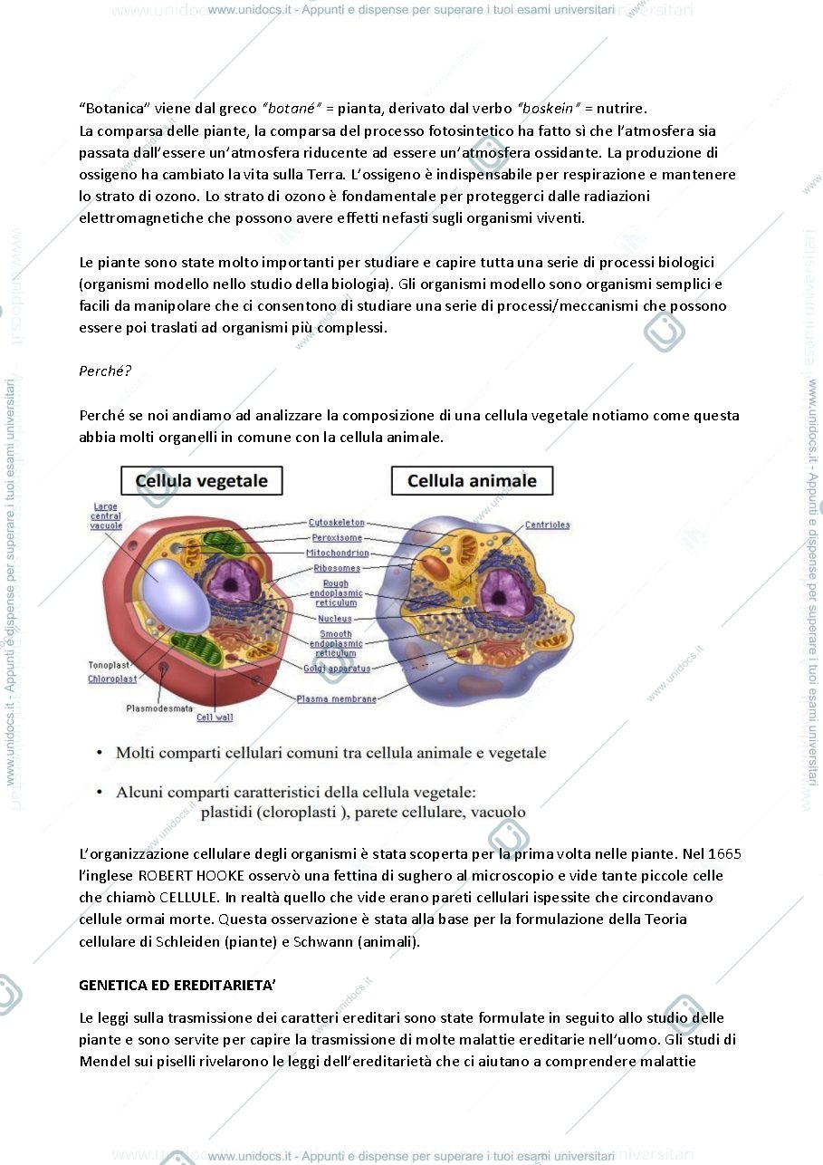 Anteprima pagina 4 — Botanica generale 