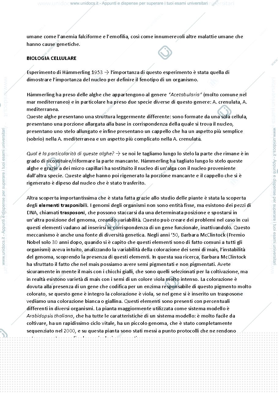 Anteprima pagina 5 — Botanica generale 