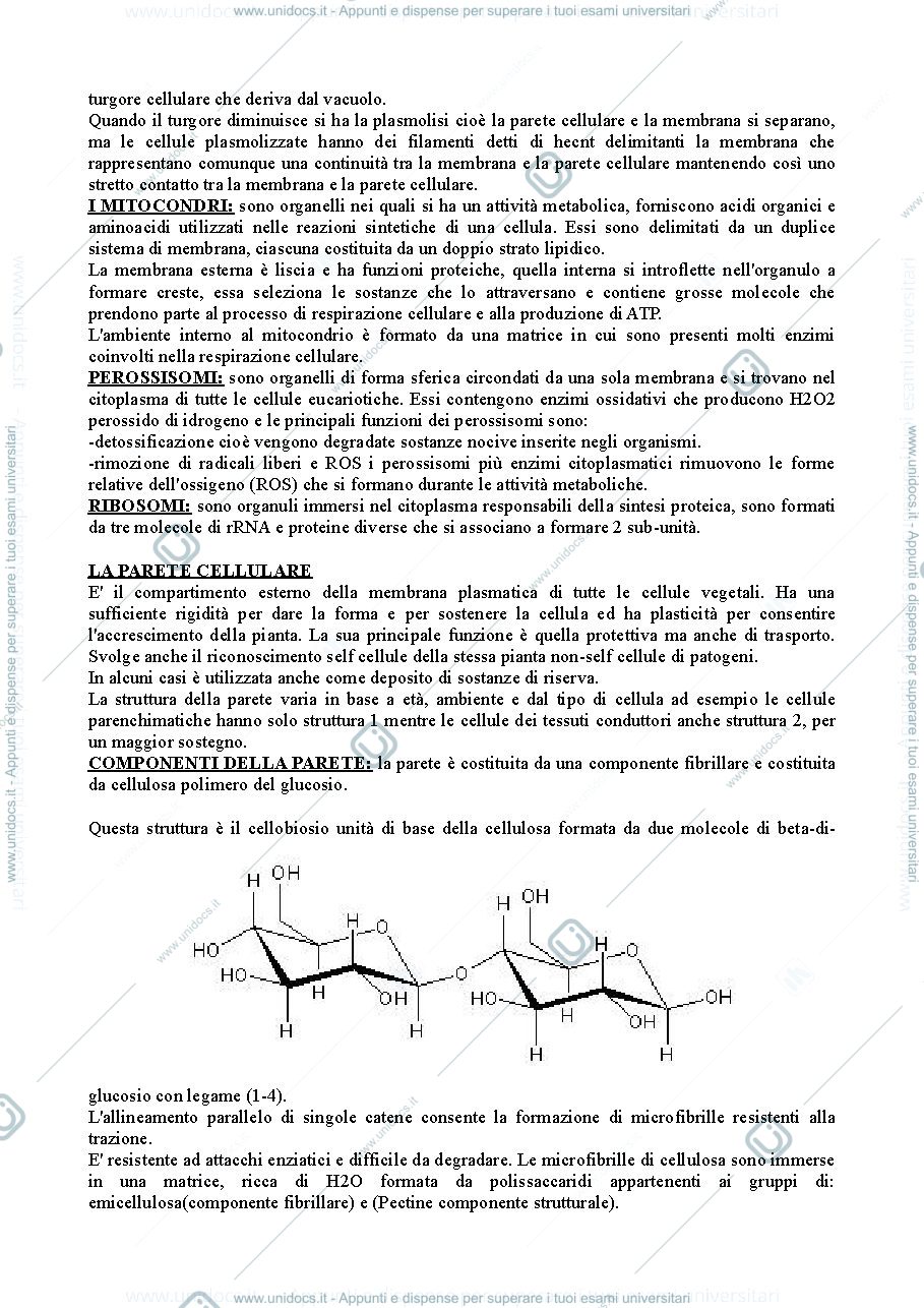 Anteprima pagina 2 — appunti botanica