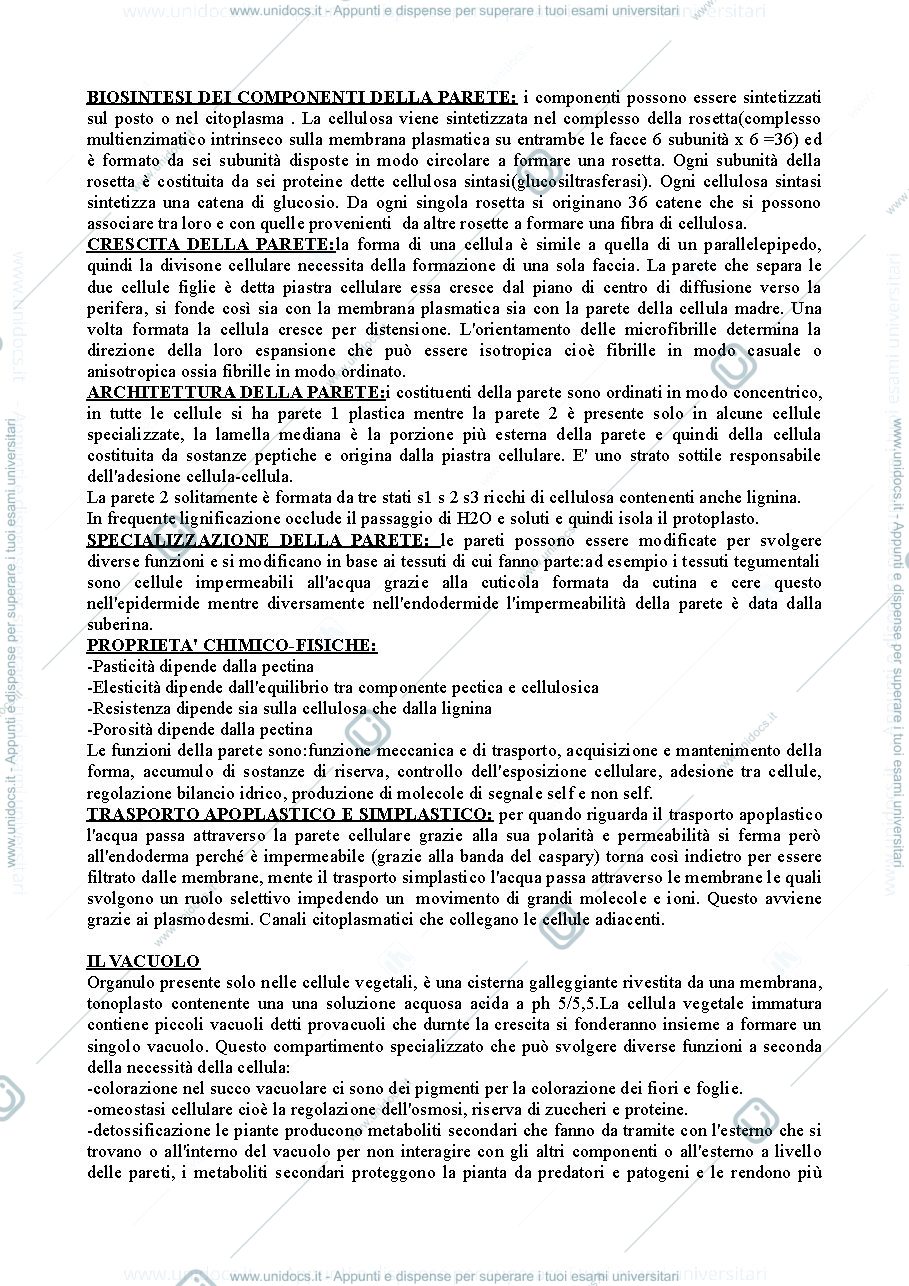 Anteprima pagina 3 — appunti botanica