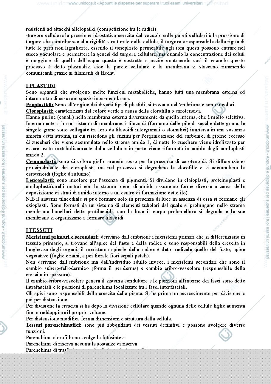 Anteprima pagina 4 — appunti botanica