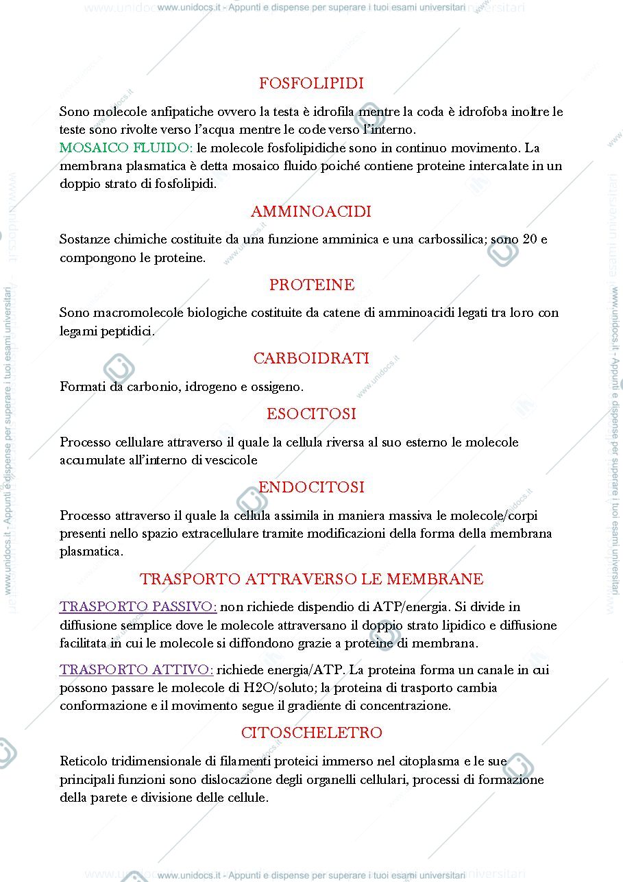 Anteprima pagina 2 — Botanica generale riassunto breve