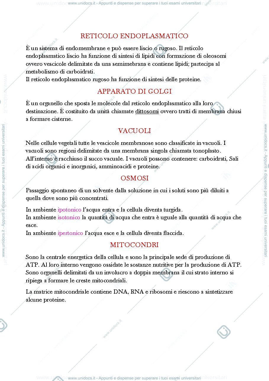 Anteprima pagina 3 — Botanica generale riassunto breve