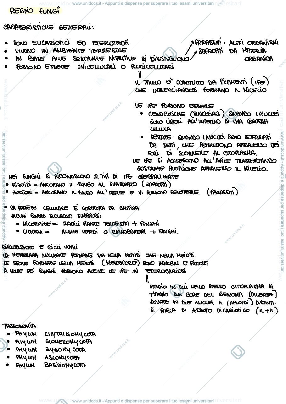 Anteprima pagina 1 — Appunti del corso di Botanica Sistematica 