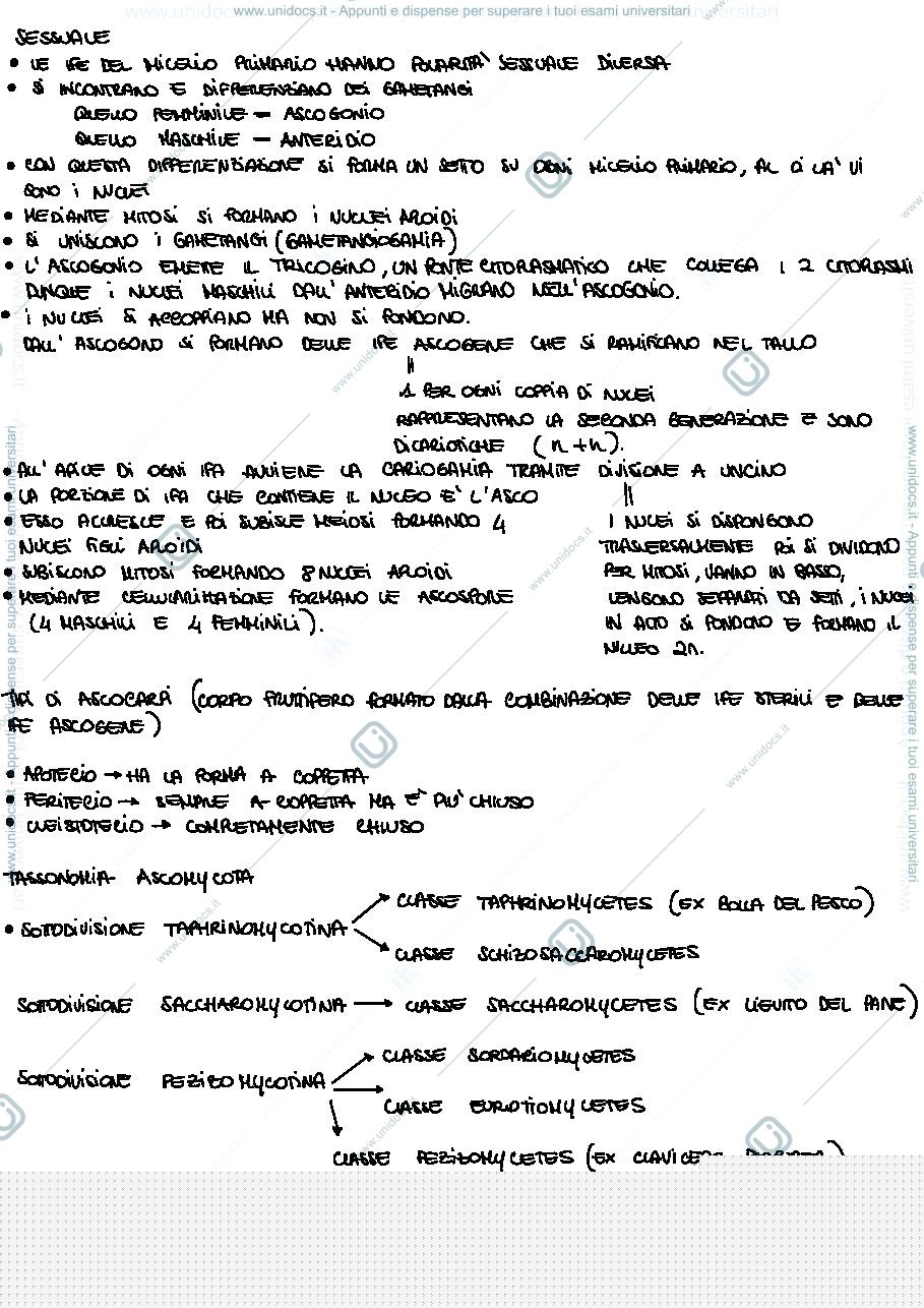 Anteprima pagina 3 — Appunti del corso di Botanica Sistematica 