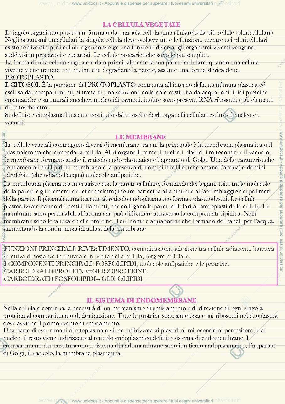 Anteprima pagina 4 — Botanica