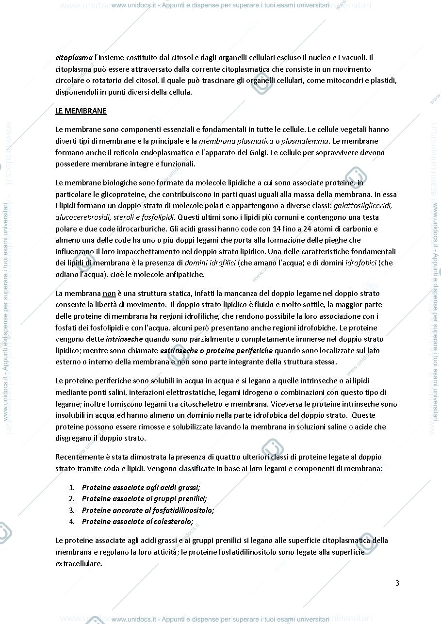Anteprima pagina 3 — Appunti di Botanica Generale e Sistematica