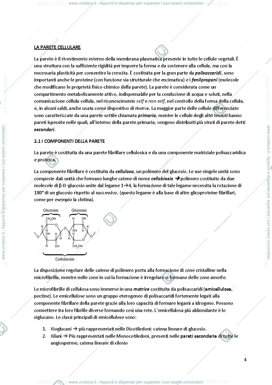 Anteprima pagina 4 — Appunti di Botanica Generale e Sistematica