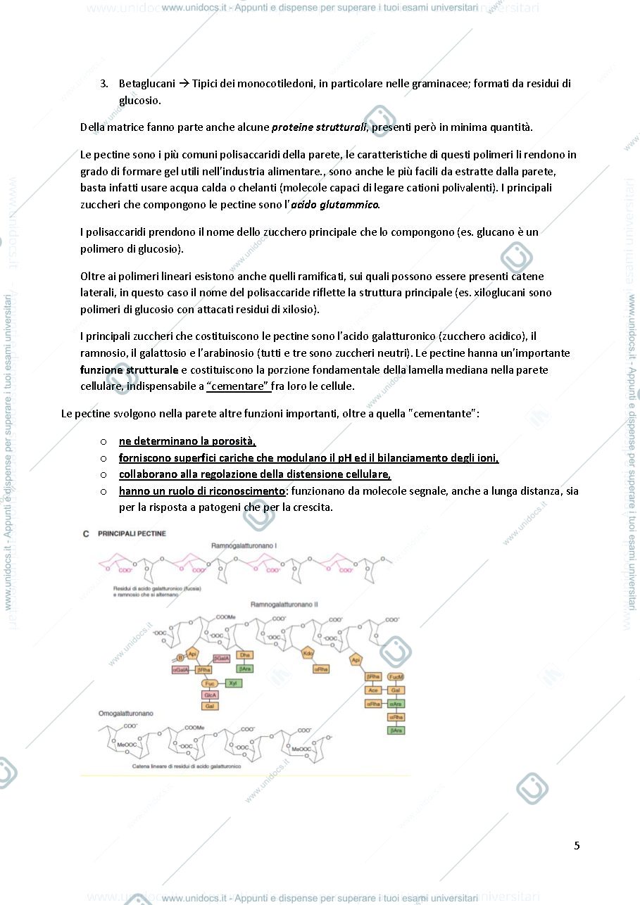 Anteprima pagina 5 — Appunti di Botanica Generale e Sistematica