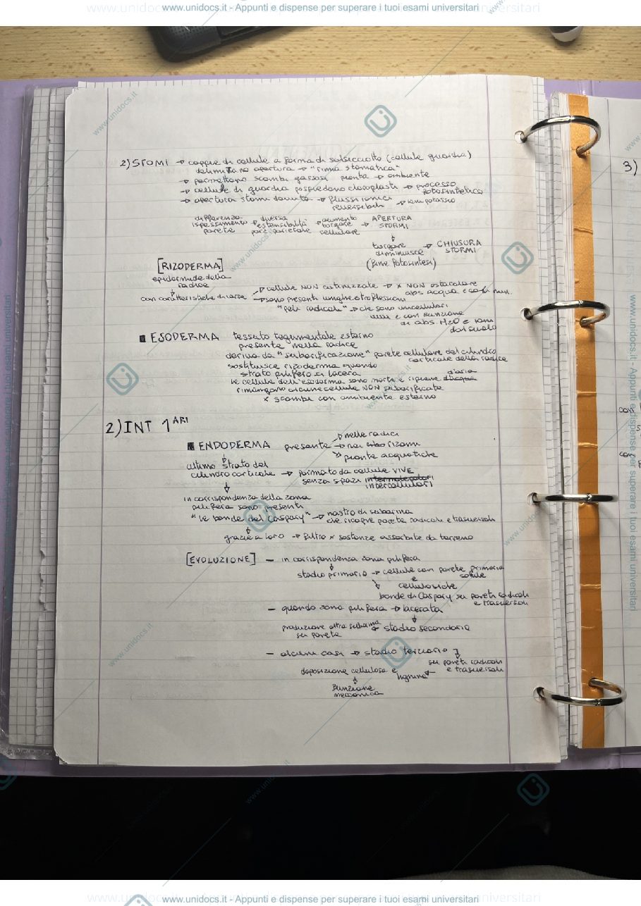 Anteprima pagina 2 — botanica