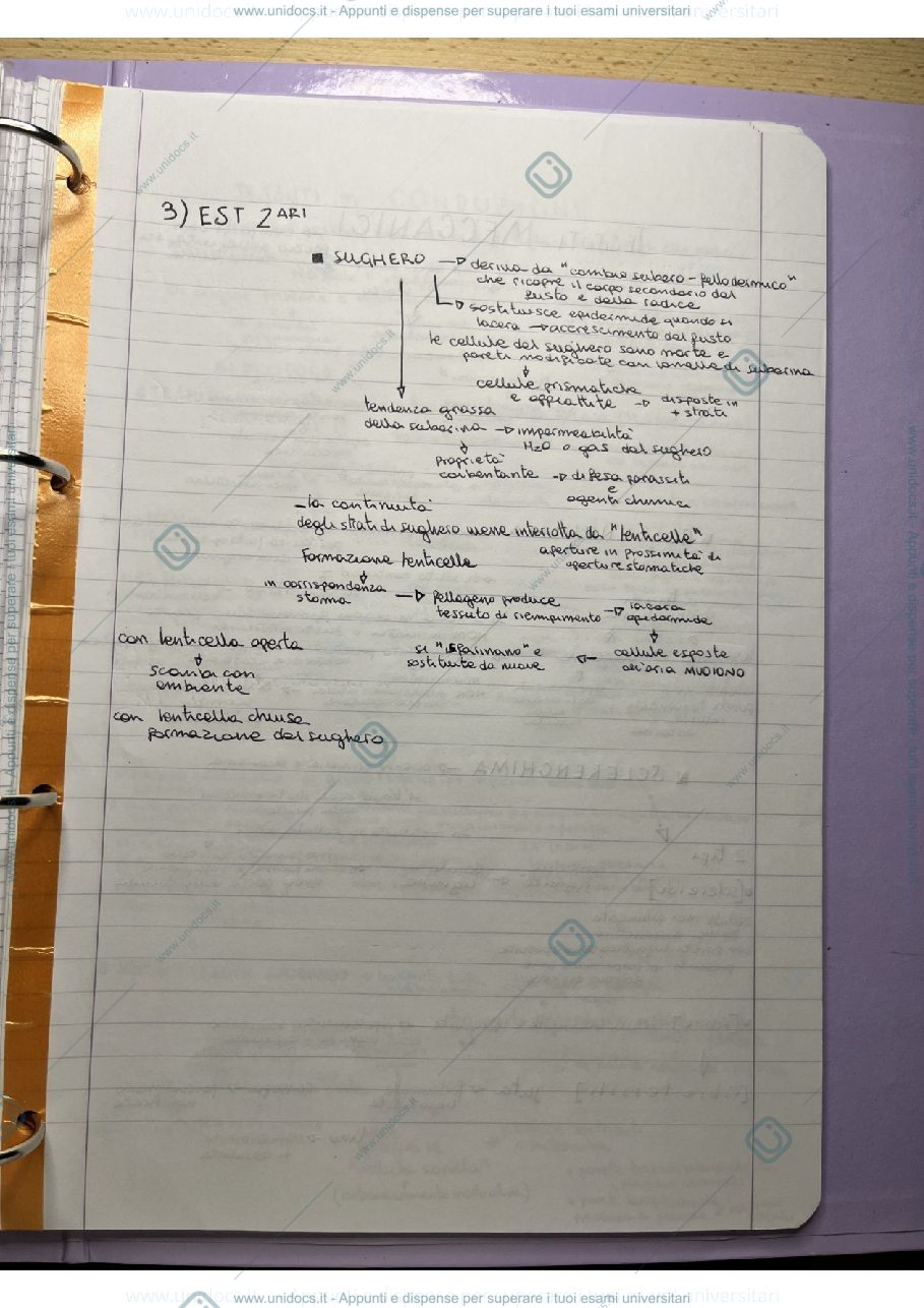 Anteprima pagina 3 — botanica