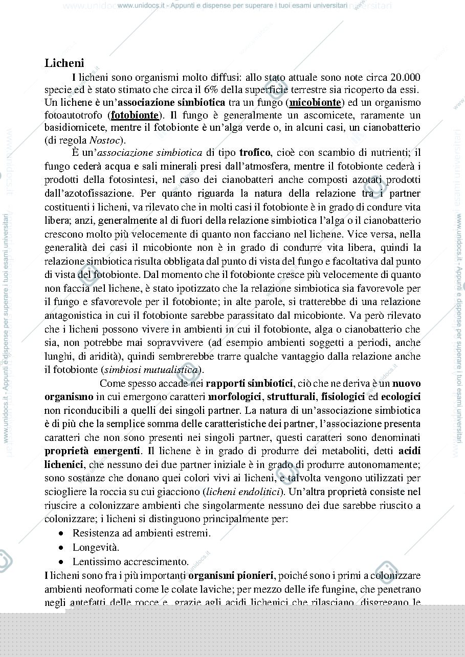Anteprima pagina 1 — I Licheni 