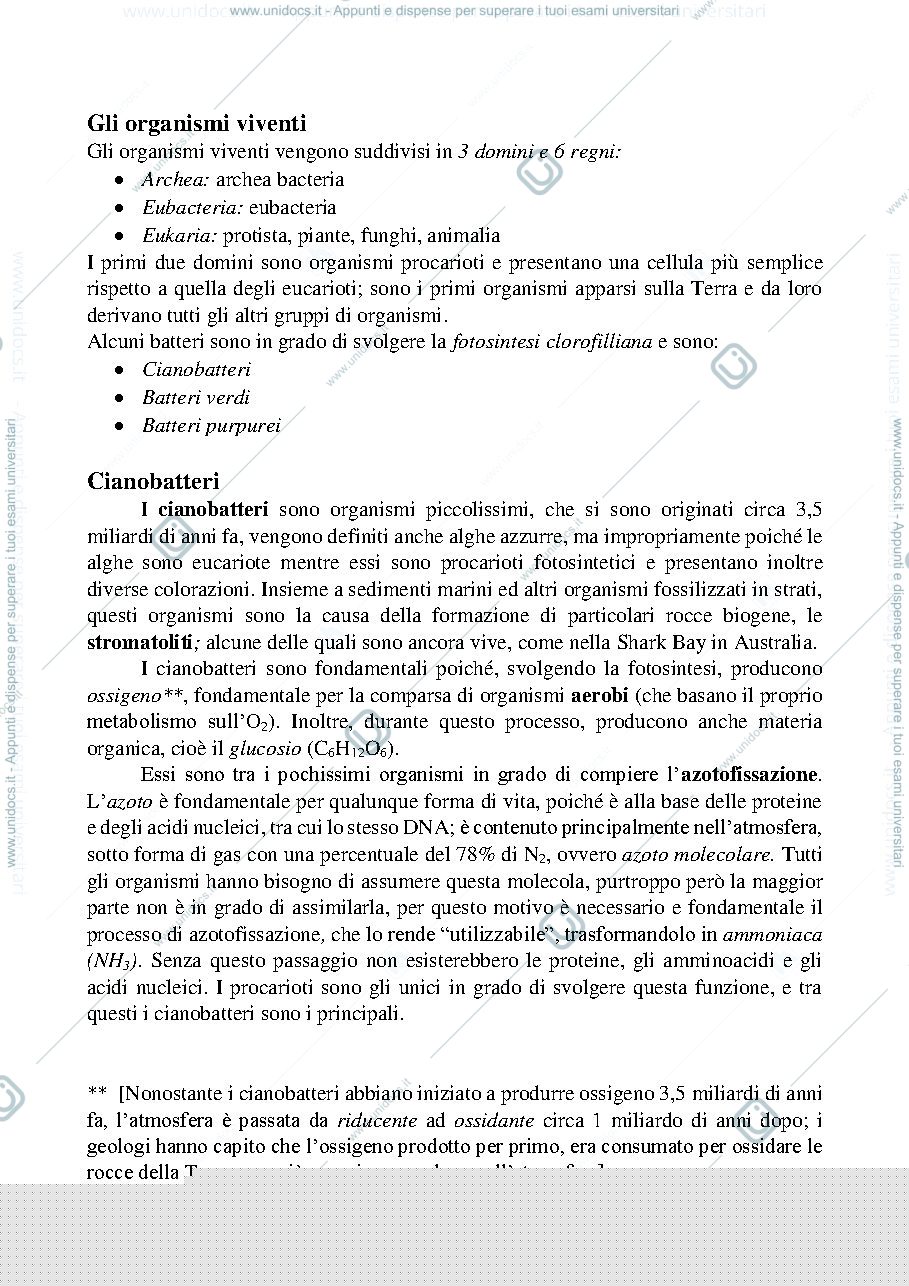 Anteprima pagina 1 — Cianobatteri