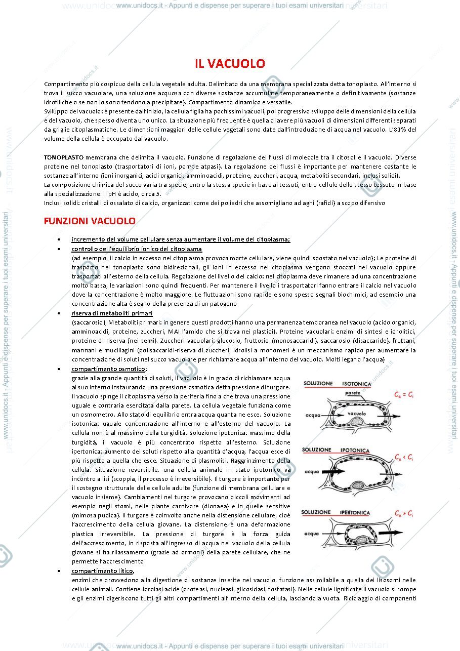 Anteprima pagina 1 — Botanica generale