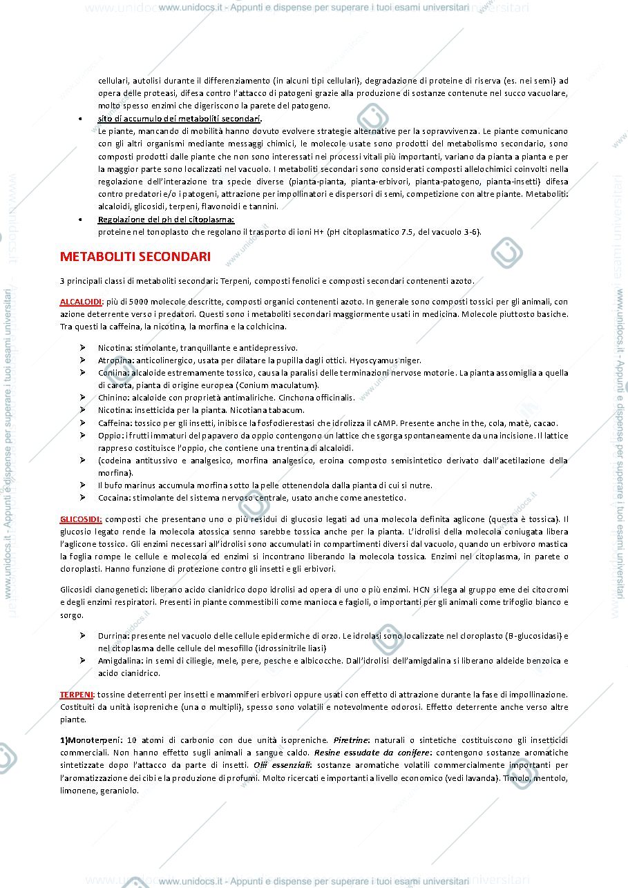 Anteprima pagina 2 — Botanica generale