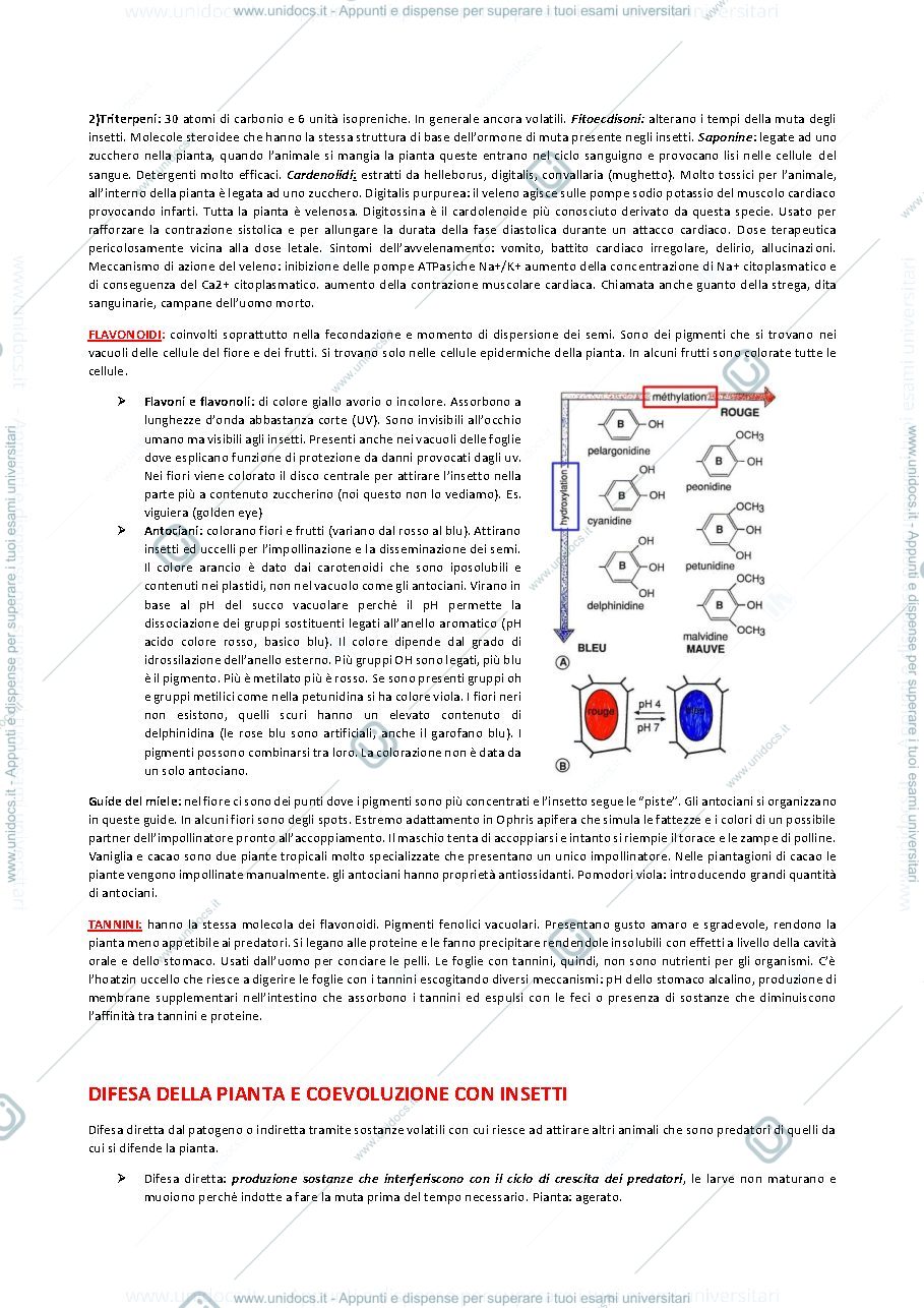 Anteprima pagina 3 — Botanica generale