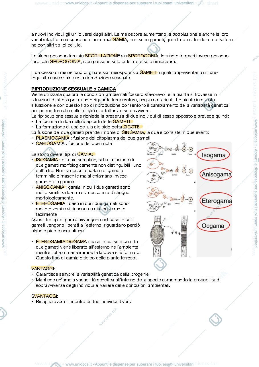 Anteprima pagina 4 — APPUNTI BOTANICA SISTEMATICA