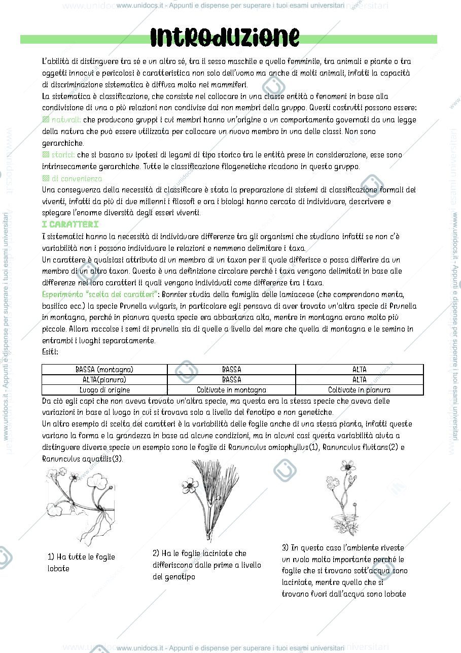 Anteprima pagina 2 — botanica sistematica